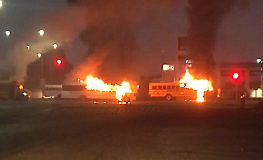 Felicitan senadores de oposición a Fuerzas Armadas por recaptura de Ovidio Guzmán