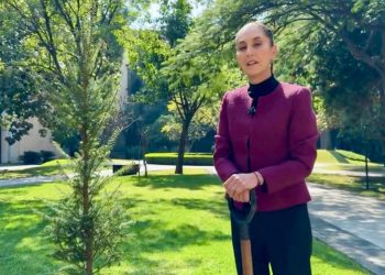 “Vamos a seguir el camino de la transformación, no hay marcha atrás, no va a haber regresiones”, Sheinbaum en mensaje de Año Nuevo