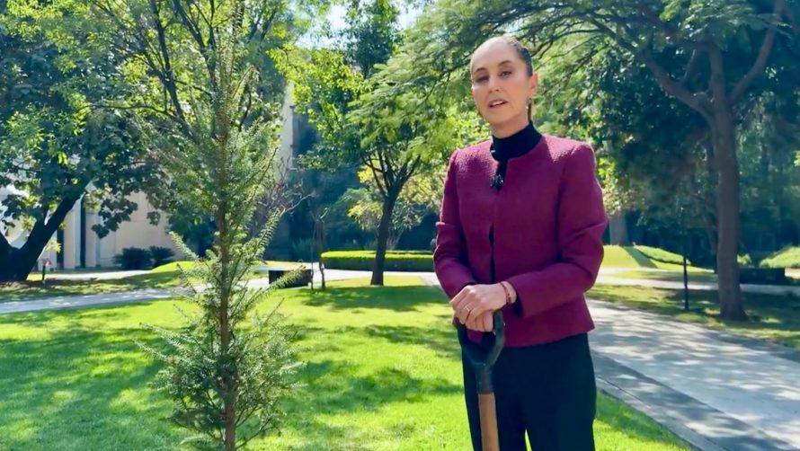 “Vamos a seguir el camino de la transformación, no hay marcha atrás, no va a haber regresiones”, Sheinbaum en mensaje de Año Nuevo