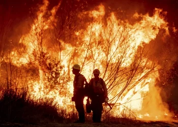 Enviará México un equipo de Conafor y Sedena a Los Ángeles para sofocar incendios