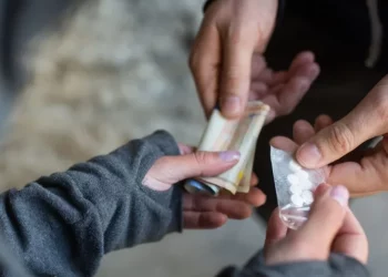 Alarmante que gobierno de Sheinbaum no cuente con datos certeros sobre consumo de drogas: “Alito” Moreno