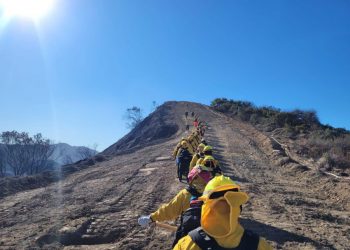 Delegación mexicana combate ya incendios en Los Ángeles; “trabajamos en unidad”, afirma CNPC