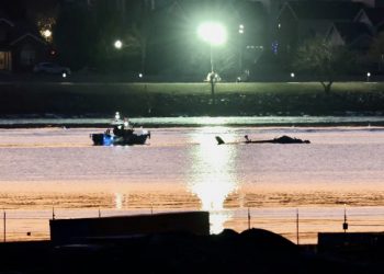 Muchos murieron cuando un avión golpeó un helicóptero y se estrelló contra el río Washington