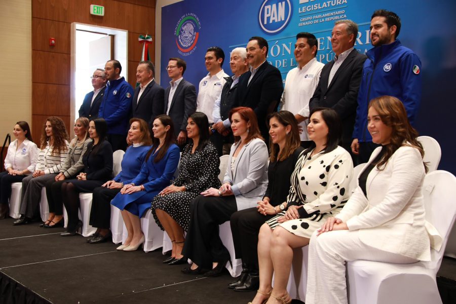 Nombran a Ricardo Anaya nuevo coordinador del PAN en el Senado