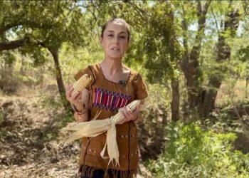 Envía Sheinbaum al Congreso reforma la Constitución que prohíbe maíz transgénico