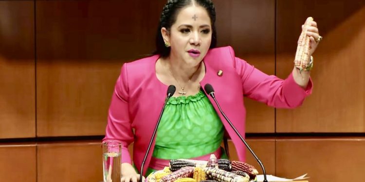 Aprueba Senado reformas a la Constitución para conservación y protección de los maíces nativos