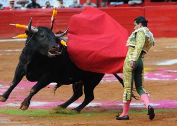 Sheinbaum a favor de corridas de toros, pero sin maltratar a los animales