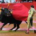 Sheinbaum a favor de corridas de toros, pero sin maltratar a los animales