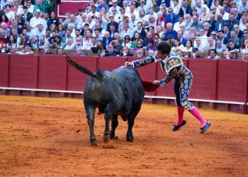 Prohíbe Clara Brugada corridas de toros con violencia