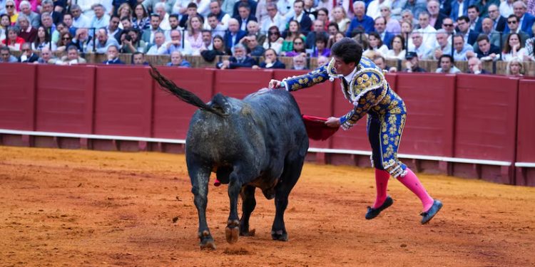 Prohíbe Clara Brugada corridas de toros con violencia