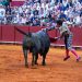 Prohíbe Clara Brugada corridas de toros con violencia