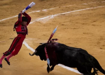 Celebra Karen Castrejón y el Partido Verde iniciativa para prohibir corridas de toros con violencia en CDMX