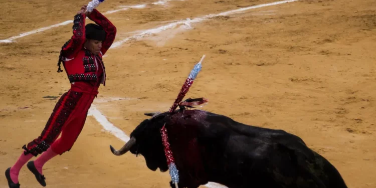 Celebra Karen Castrejón y el Partido Verde iniciativa para prohibir corridas de toros con violencia en CDMX