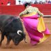 “Es una buena salida” propuesta de Brugada de prohibir corridas de toros con violencia: Sheinbaum
