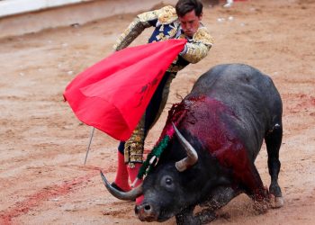 Aprueban comisiones del Congreso de la CDMX iniciativa de corridas de toros sin violencia