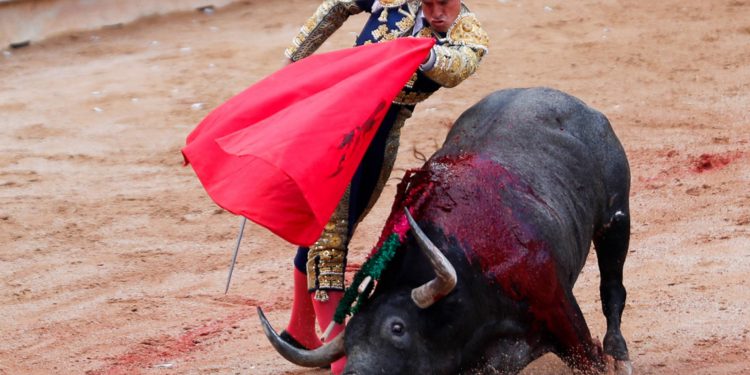 Aprueban comisiones del Congreso de la CDMX iniciativa de corridas de toros sin violencia