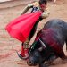 Aprueban comisiones del Congreso de la CDMX iniciativa de corridas de toros sin violencia