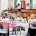 Aprueba Congreso de la CDMX prohibición de corridas de toros con violencia