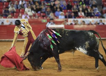Publican decreto que prohíbe corridas de toros con violencia en CdMx