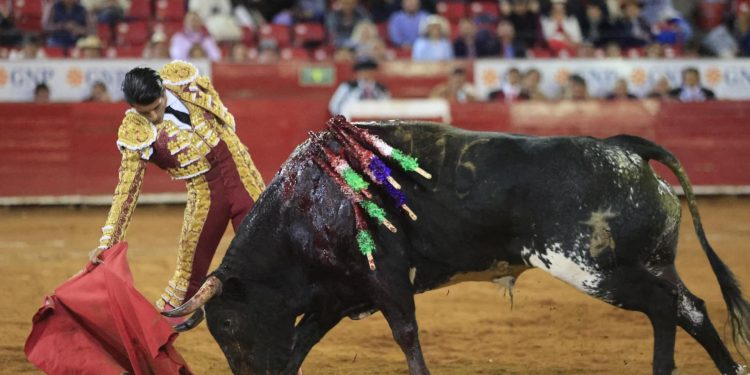 Publican decreto que prohíbe corridas de toros con violencia en CdMx