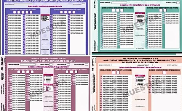 Intensificarán senadores de Morena giras regionales para llamar a votar en elección del Poder Judicial