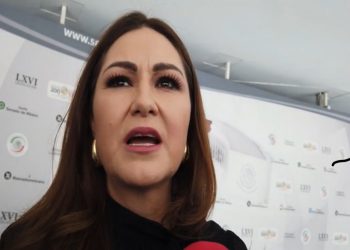 No hay ruptura ni división en el PT tras salida de Fernández Noroña: Geovanna Bañuelos