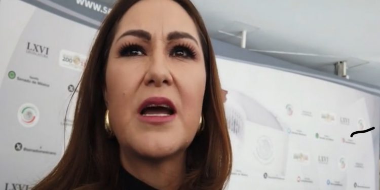 No hay ruptura ni división en el PT tras salida de Fernández Noroña: Geovanna Bañuelos