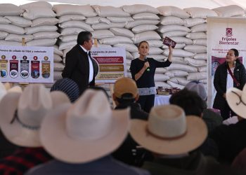 Unidad, clave para negociar con Trump: Sheinbaum