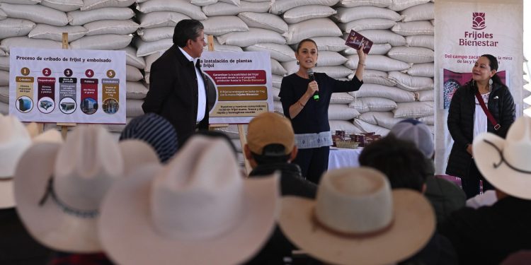 Unidad, clave para negociar con Trump: Sheinbaum