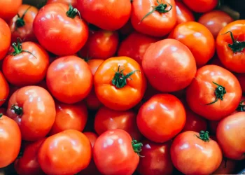 PRI critica posible arancel al jitomate; “viola el T-MEC”
