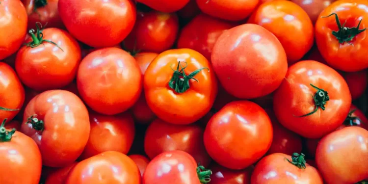 PRI critica posible arancel al jitomate; “viola el T-MEC”
