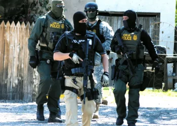 Sheinbaum: Fuerzas extranjeras no operan en México sin autorización