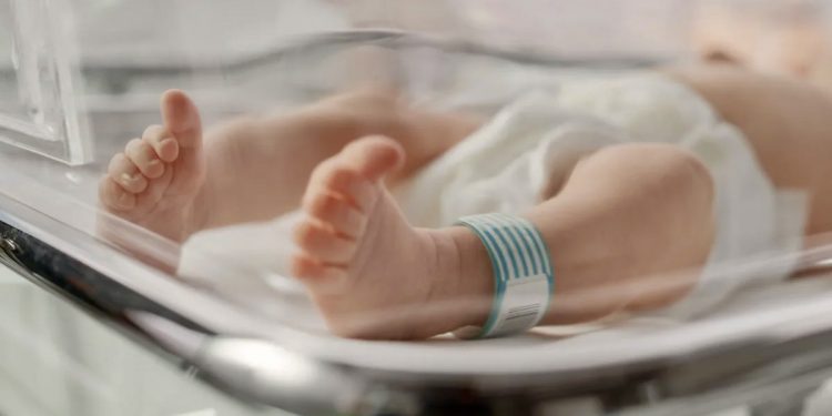 Reporta Salud 45 muertes de bebés por tosferina, todos sin vacunar