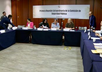 Aprobada sin comparecencia y con críticas la Estrategia Nacional de Seguridad va al pleno