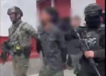 Fuerzas federales desarticulan célula del CJNG en Michoacán; 12 abatidos y 9 detenidos
