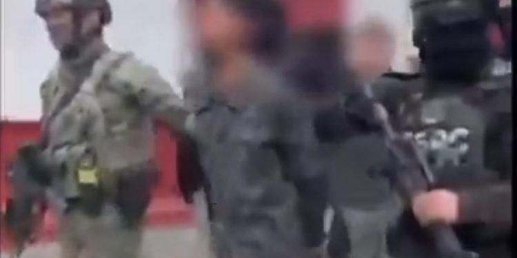 Fuerzas federales desarticulan célula del CJNG en Michoacán; 12 abatidos y 9 detenidos