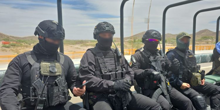 Operativo conjunto México–EEUU desmantela narcolaboratorios en Sinaloa
