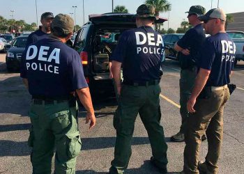 Seis cárteles mexicanos, designados como organizaciones terroristas, disputan el control de la CDMX, según DEA