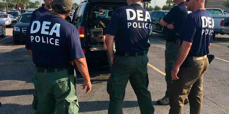 Seis cárteles mexicanos, designados como organizaciones terroristas, disputan el control de la CDMX, según DEA