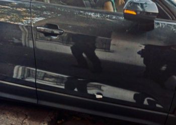 Sheinbaum respalda a Brugada tras homicidio de dos colaboradores; “no está sola”