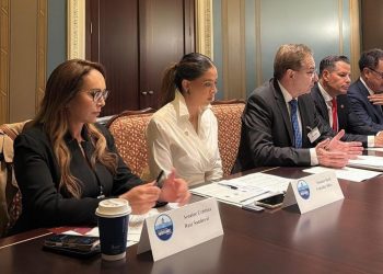 “Error estratégico, económico y social”, senadora Cristina Ruiz condena impuesto a remesas