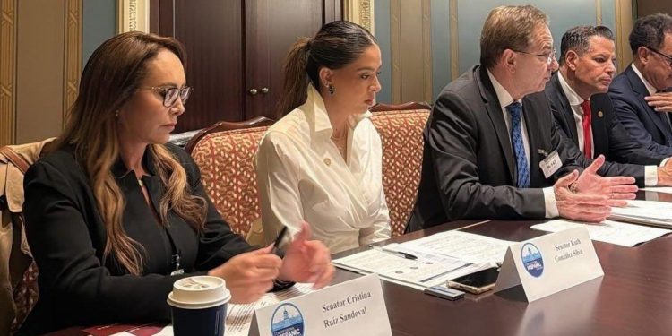 “Error estratégico, económico y social”, senadora Cristina Ruiz condena impuesto a remesas