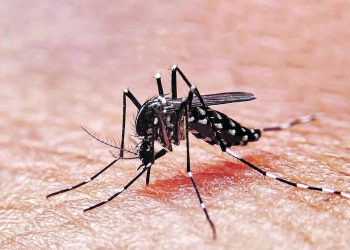 Presentan Plan Nacional para Reducir el Dengue en un 50% hacia 2030