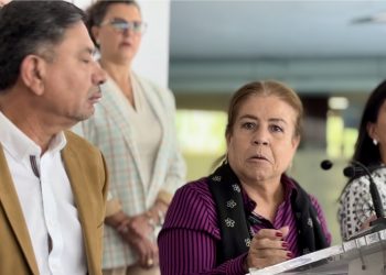 “No nos vamos a aguantar”; senadora Valdez propone correr a nuevos ministros, magistrados y jueces que no funcionen