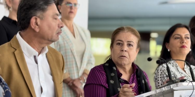“No nos vamos a aguantar”; senadora Valdez propone correr a nuevos ministros, magistrados y jueces que no funcionen