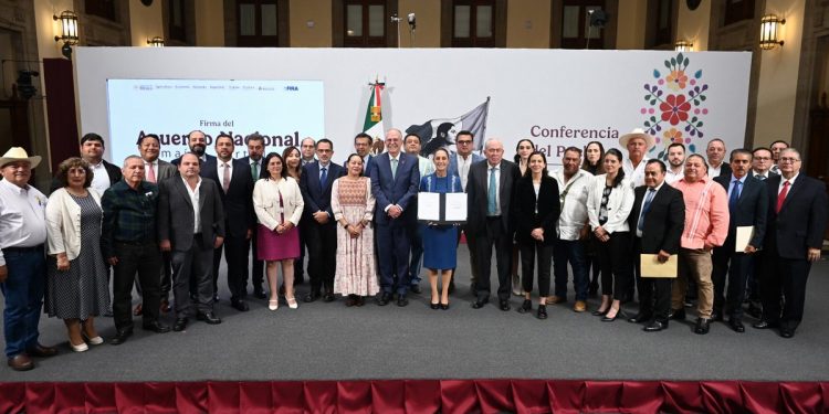 ¡Bajará el precio de la tortilla! Gobierno e industriales pactan reducción nacional