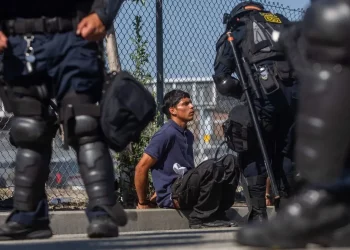 Trump ordena pausa en operativos migratorios en sectores como agricultura y hotelería: The New York Times