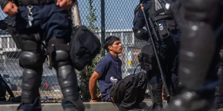 Trump ordena pausa en operativos migratorios en sectores como agricultura y hotelería: The New York Times