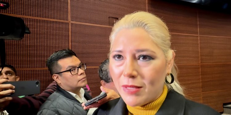 Imelda Castro y Verónica Camino alzan la mano para dirigir el Senado en el próximo periodo