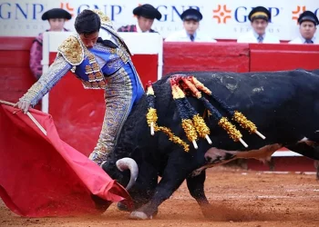 Plaza México suspende corridas de toros por reforma que prohíbe de facto la tauromaquia